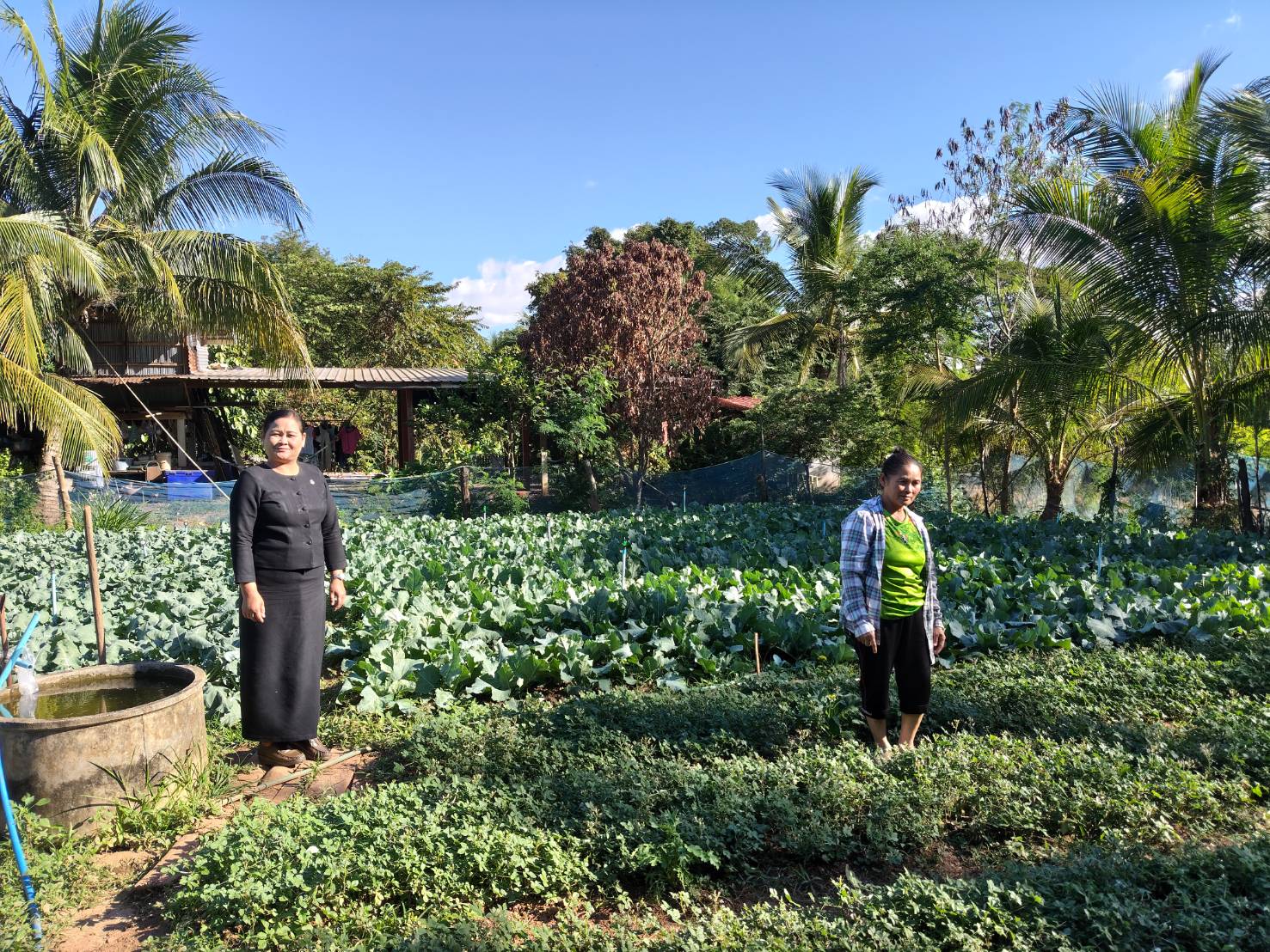 สำนักงานพัฒนาชุมชนอำเภออากาศอำนวย:โครงการพัฒนาคุณภาพชีวิตคนสกลนครทุกช่วงวัยอย่างยั่งยืนตามหลักปรัชญาของเศรษฐกิจพอเพียง